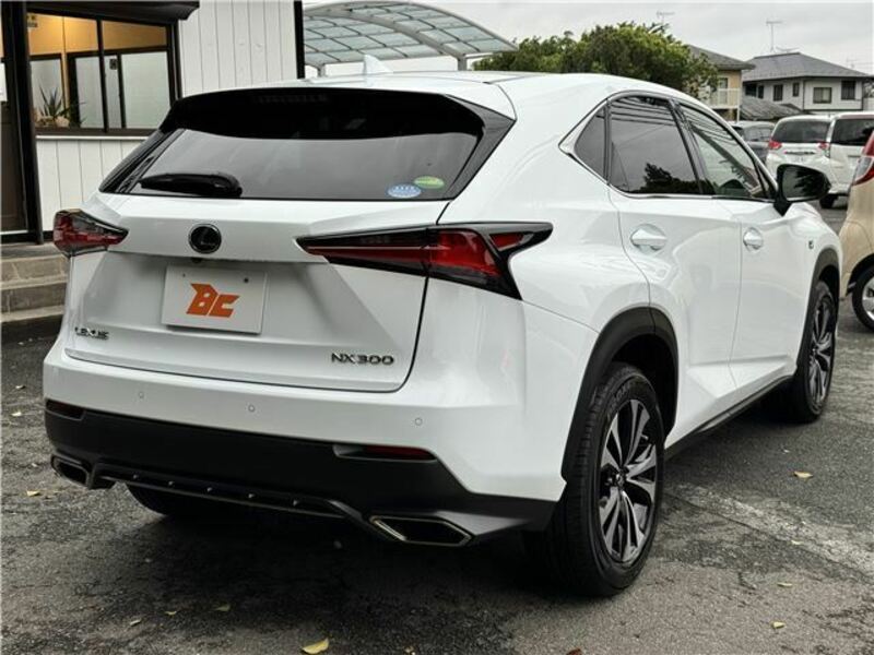 NX