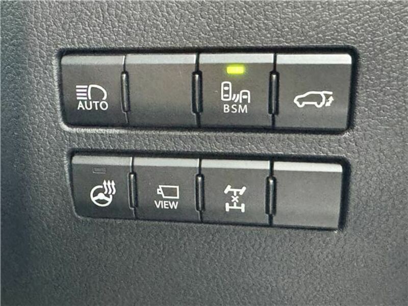 NX