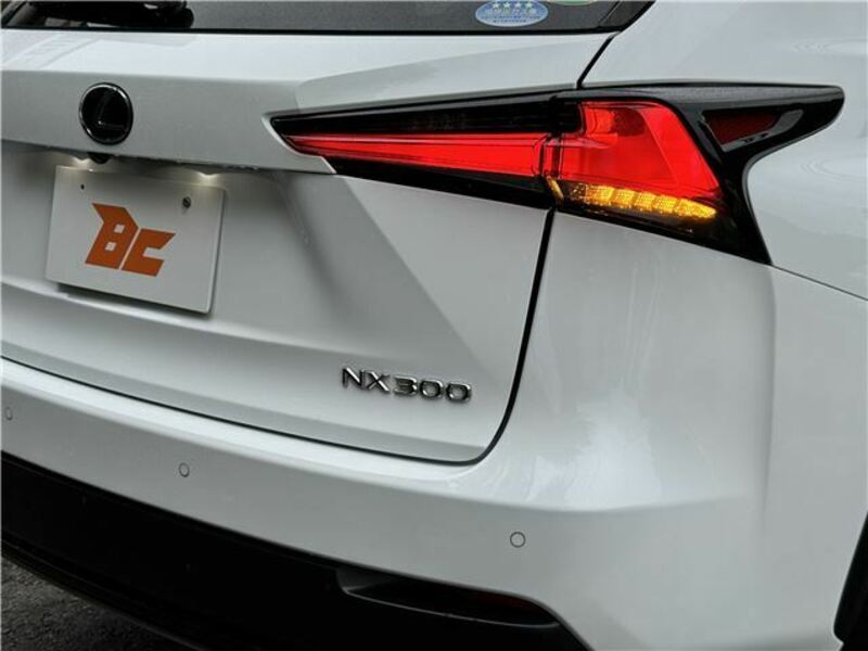 NX