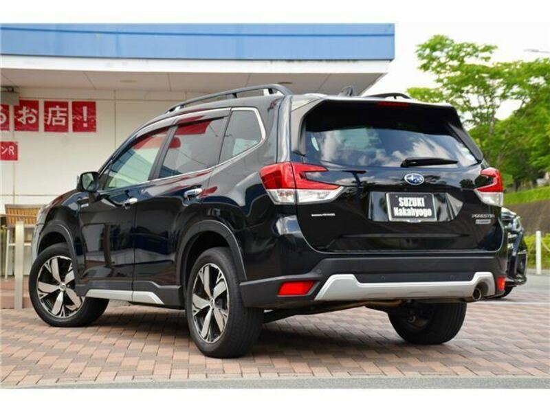 FORESTER-1