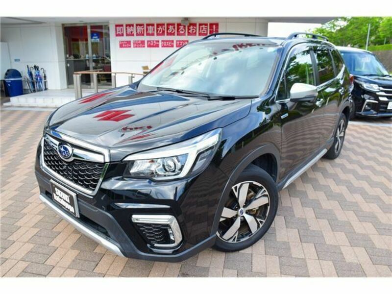 FORESTER-4