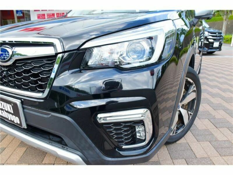 FORESTER-6