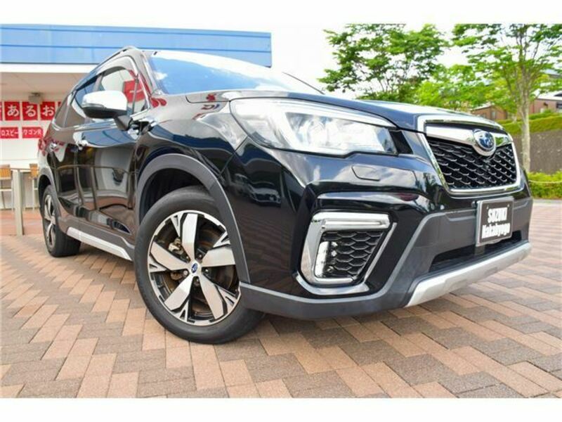 FORESTER-9