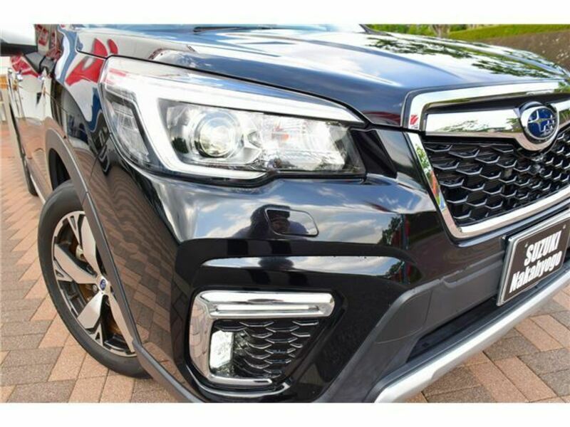 FORESTER-10