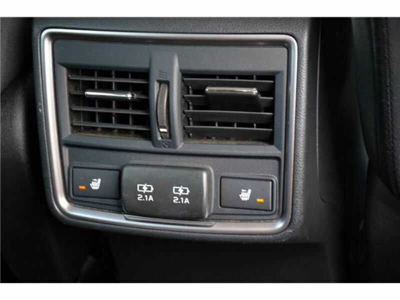 FORESTER-29