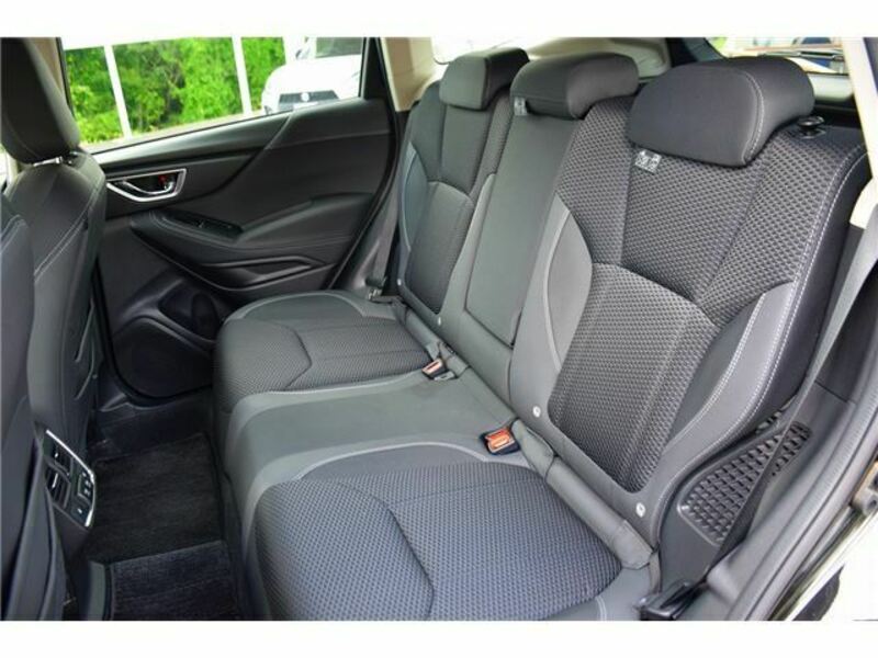 FORESTER-30