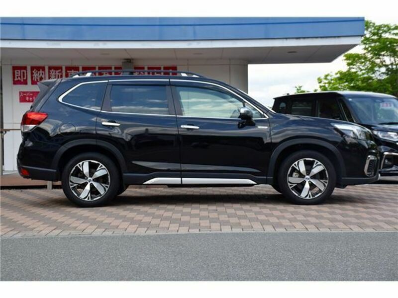 FORESTER-34