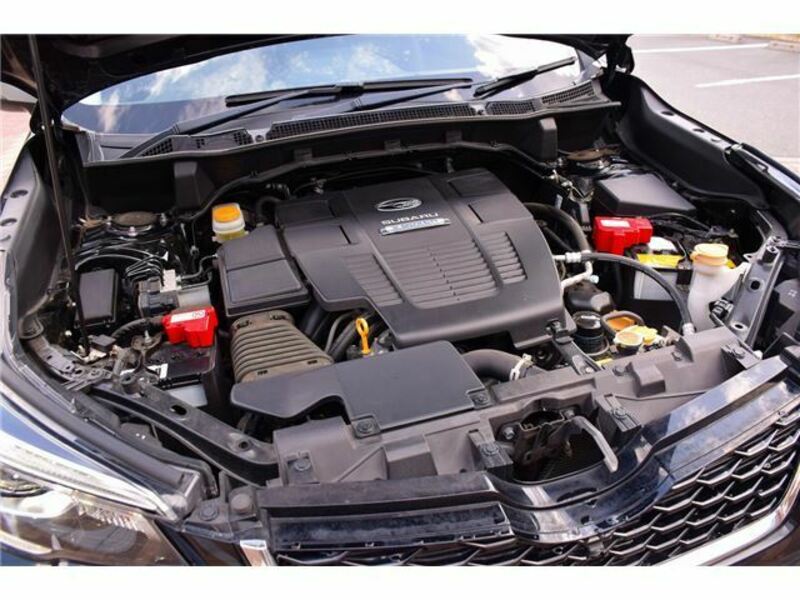 FORESTER-35