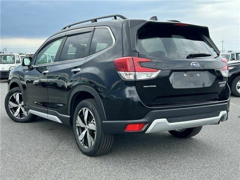 FORESTER-1