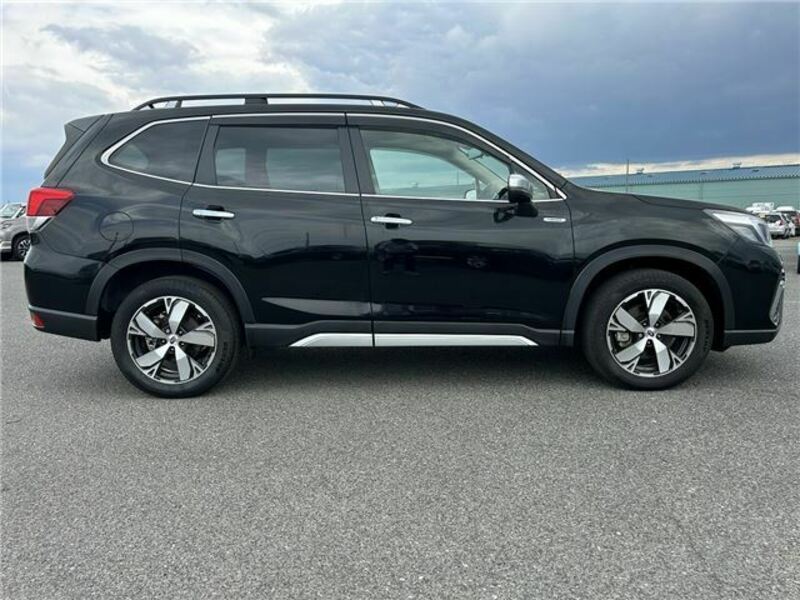 FORESTER-4