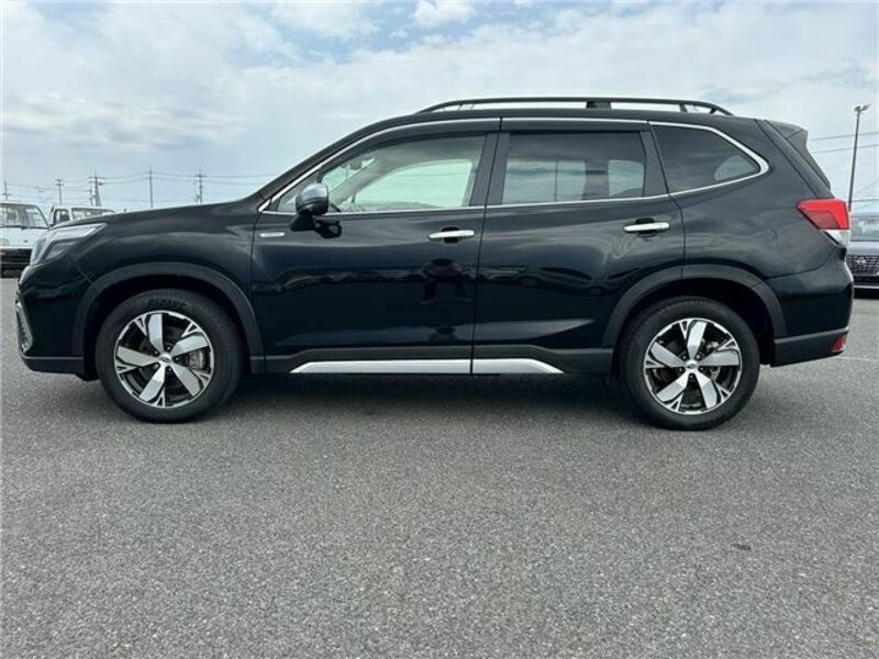 FORESTER-5