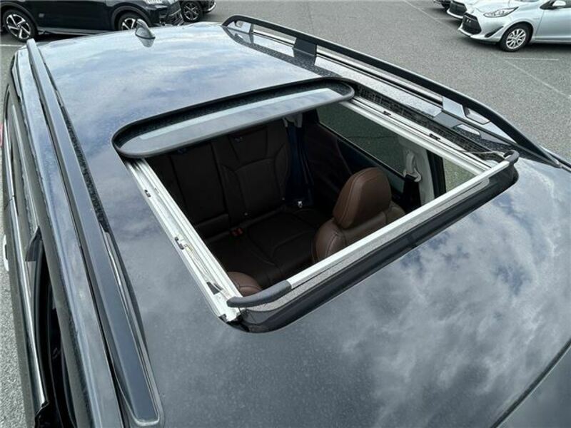 FORESTER-6