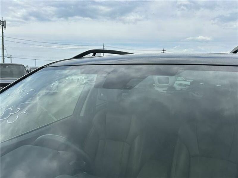 FORESTER-8