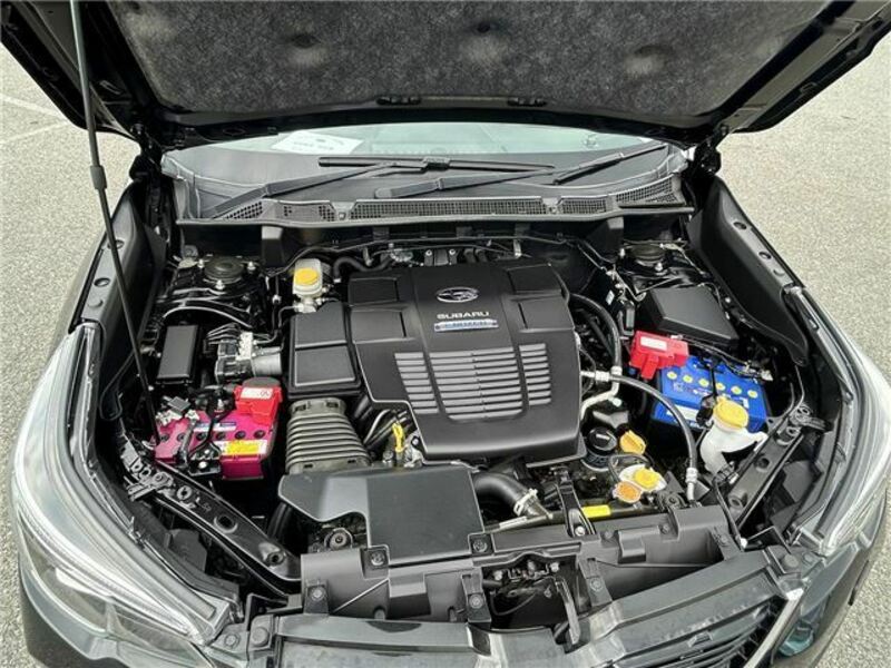 FORESTER-9