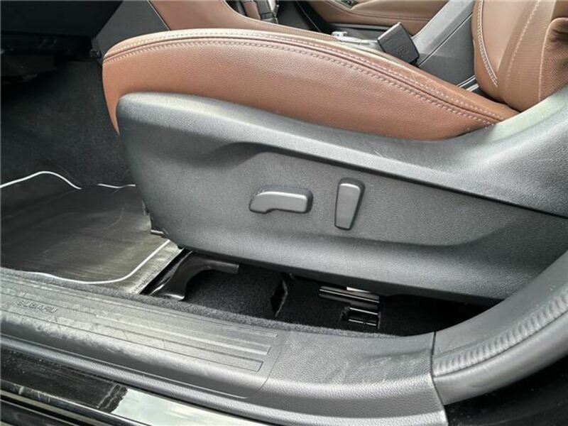 FORESTER-20