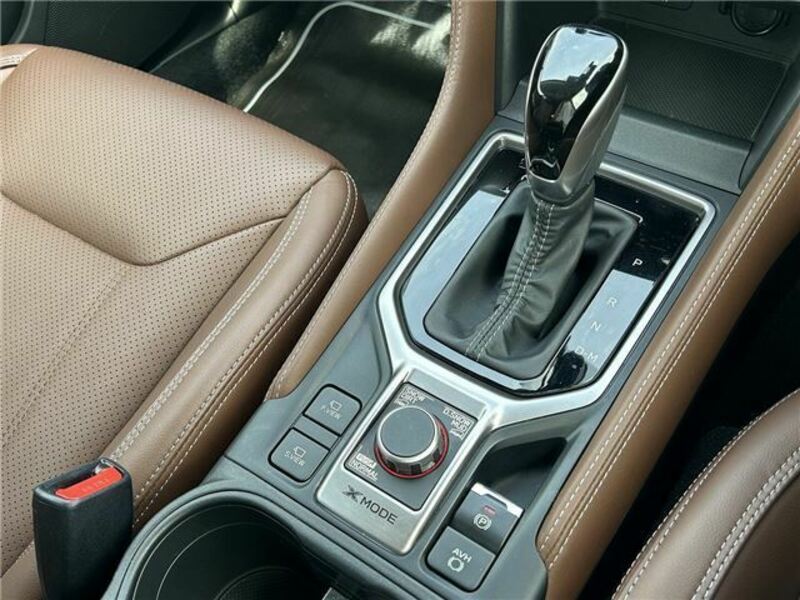 FORESTER-26
