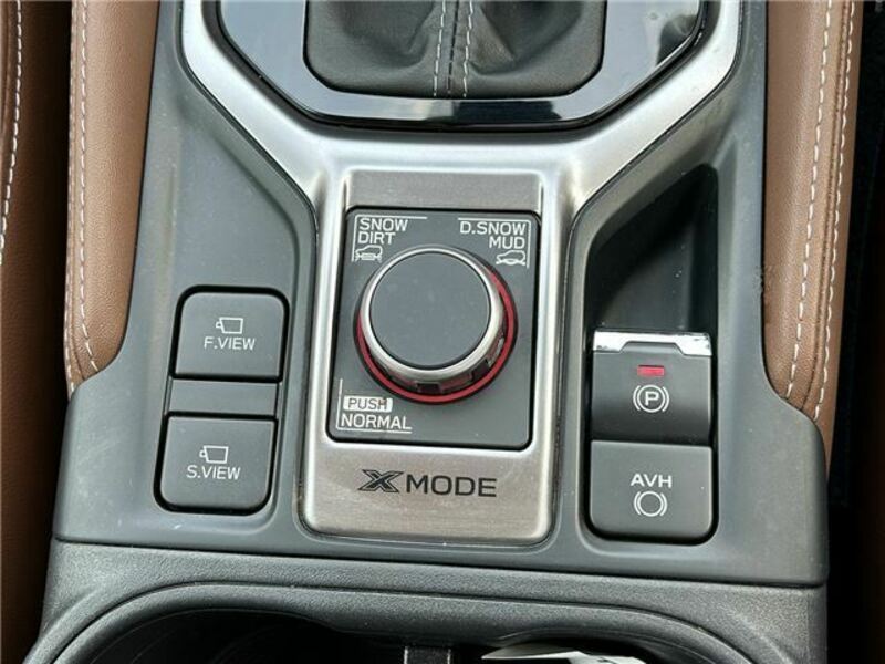 FORESTER-27