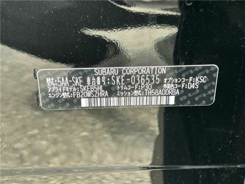 FORESTER-34