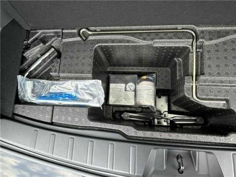 FORESTER-35