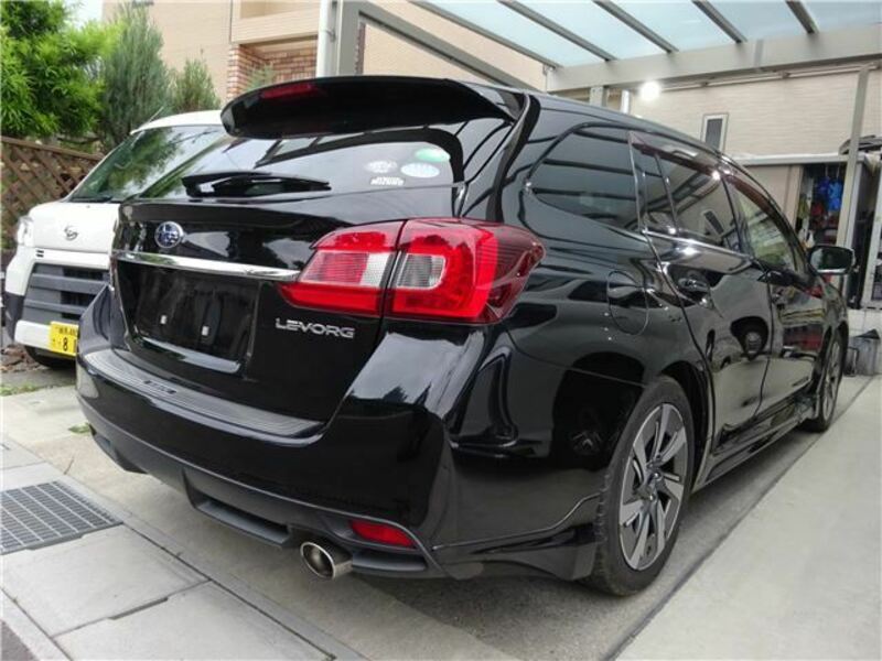 LEVORG-1