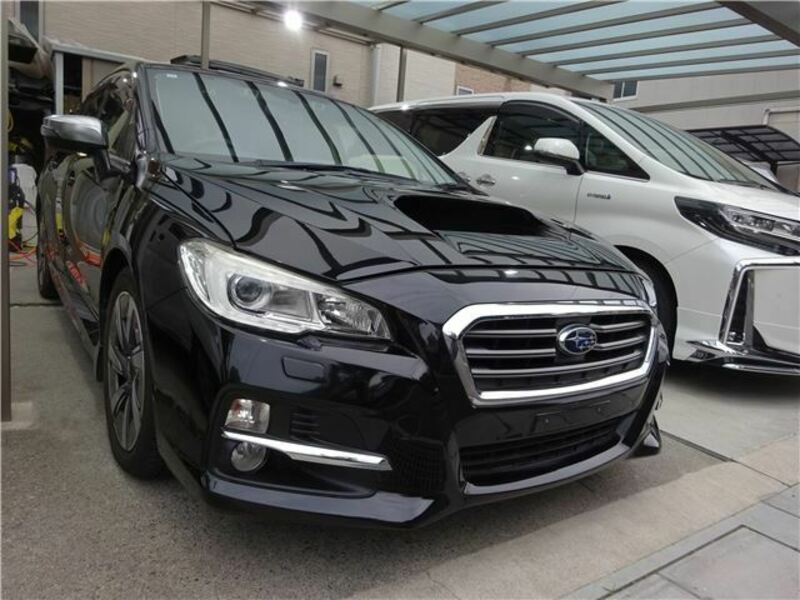 LEVORG-3