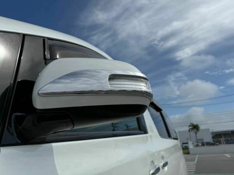 ALPHARD-13