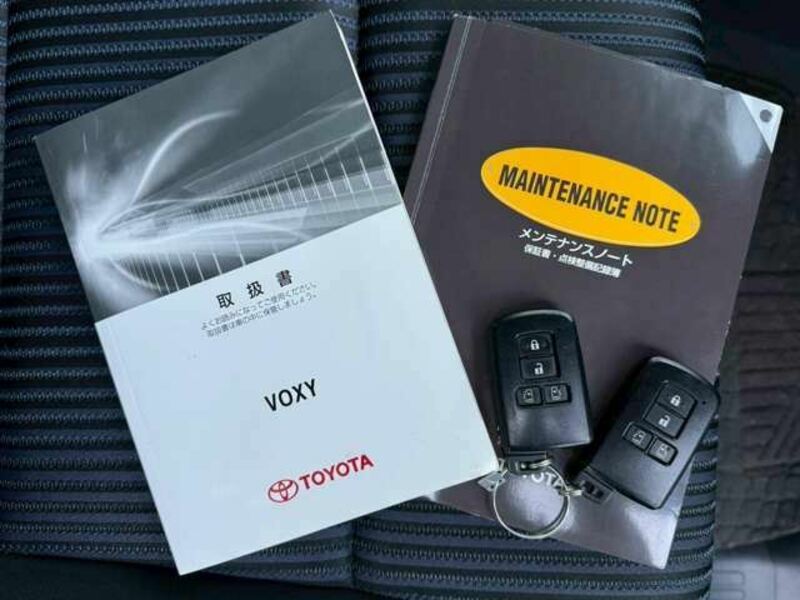 VOXY-10