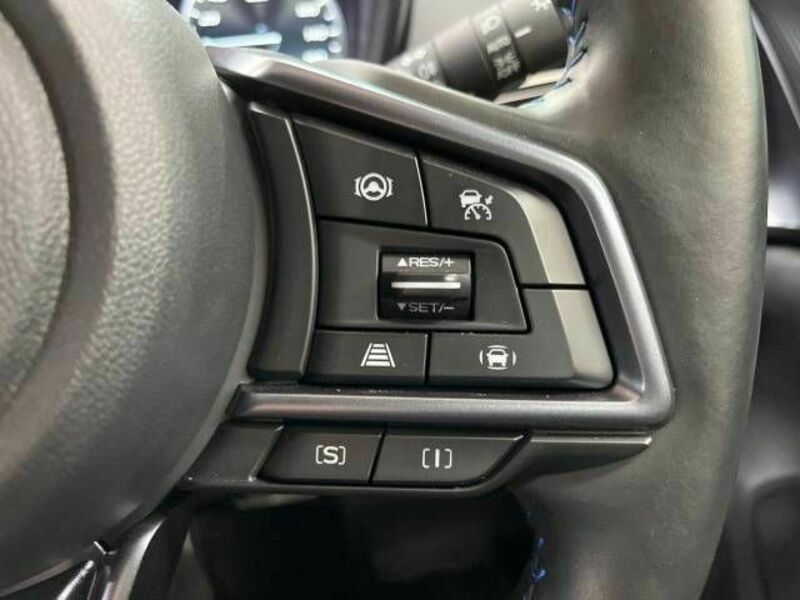LEVORG-5