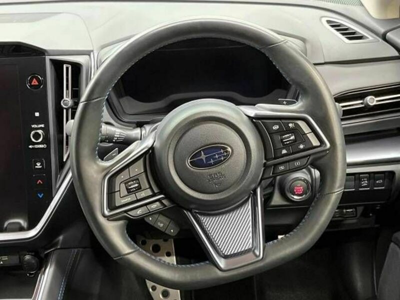 LEVORG-10