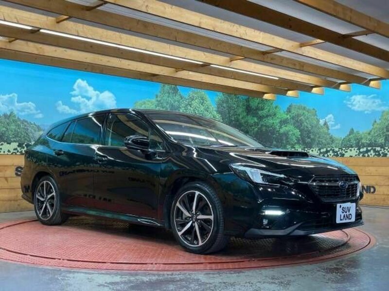 LEVORG-15