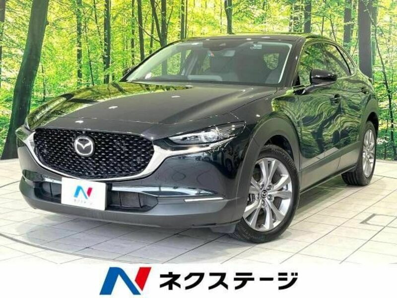 CX-30