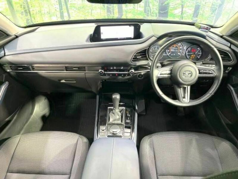 CX-30-1