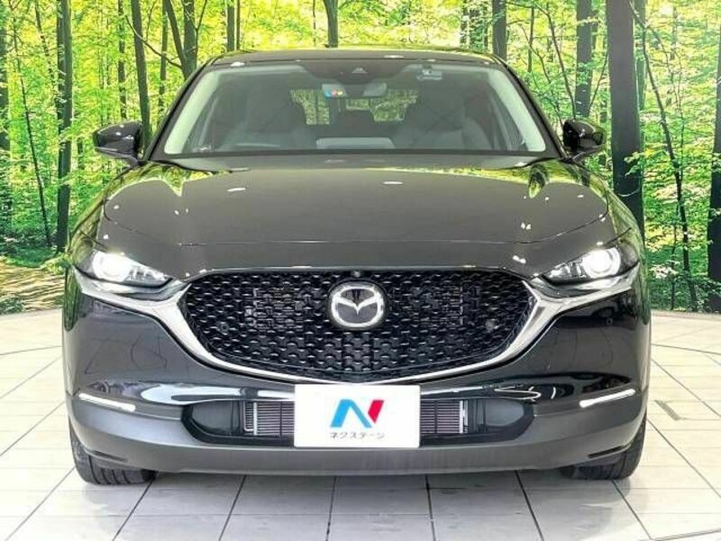 CX-30-13