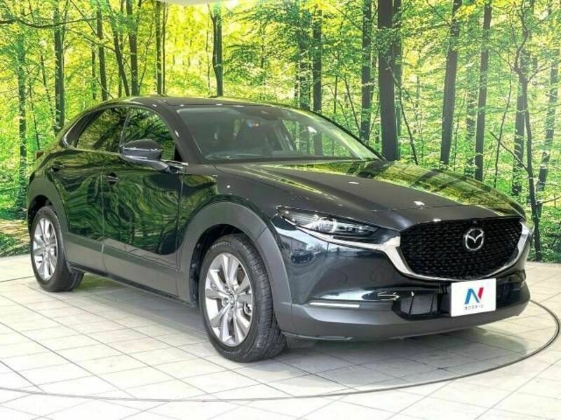 CX-30-15