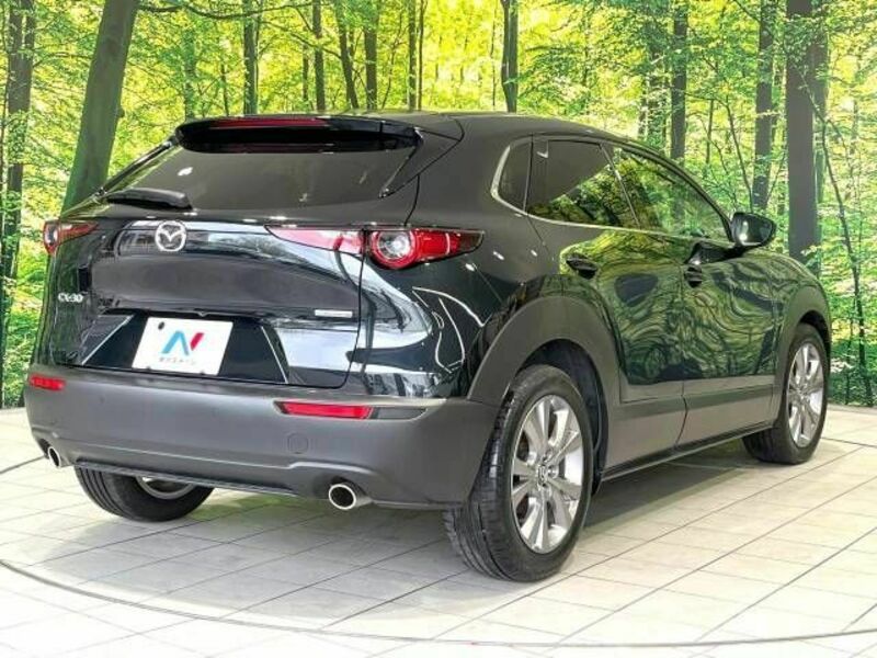 CX-30-16