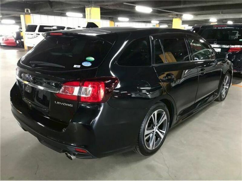 LEVORG