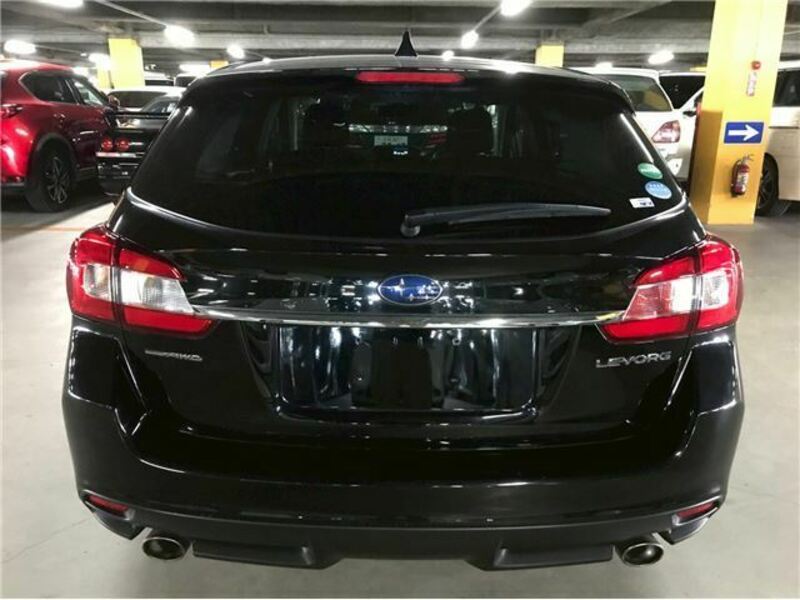 LEVORG
