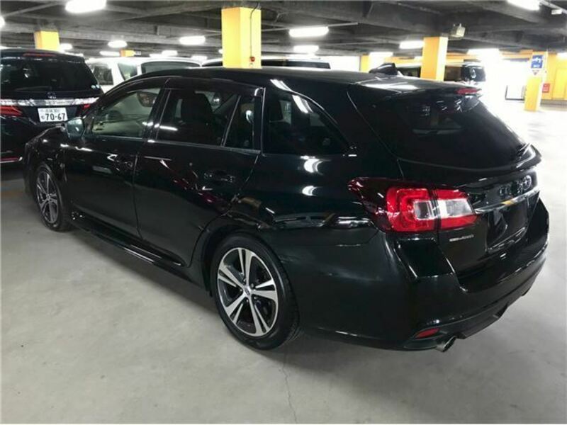 LEVORG
