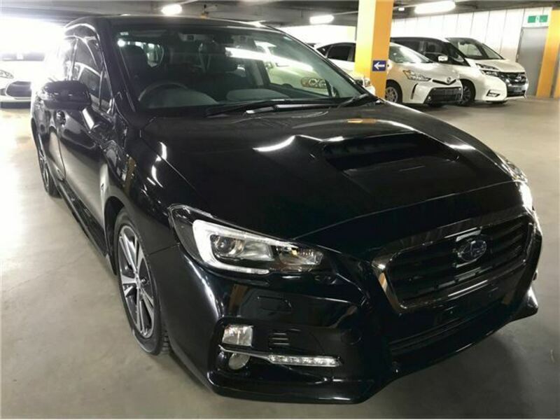 LEVORG