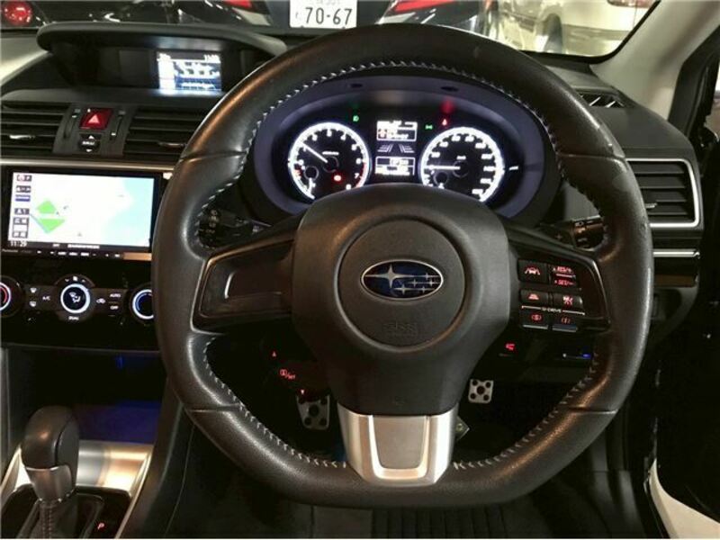 LEVORG