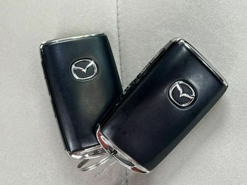 CX-5-25