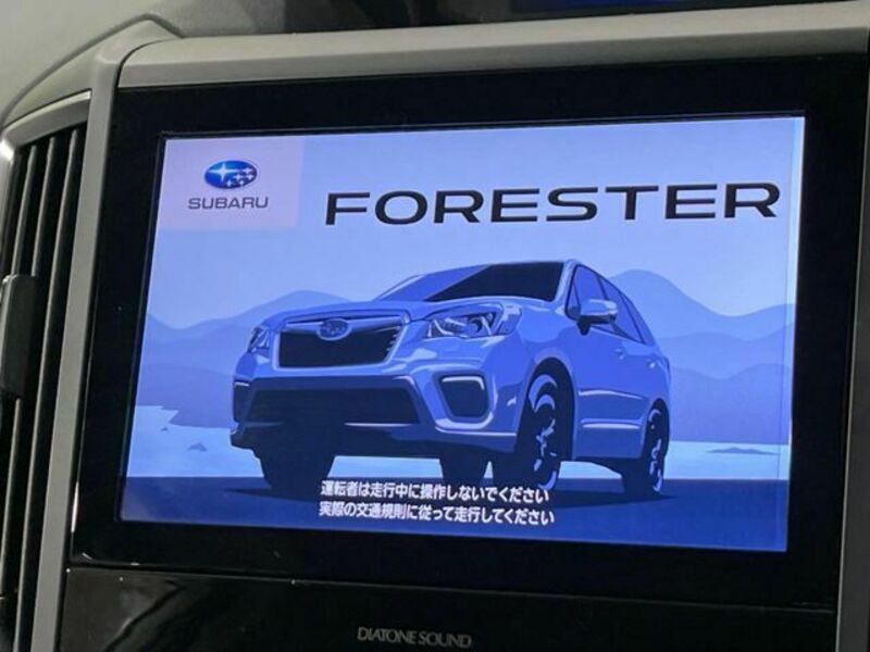 FORESTER