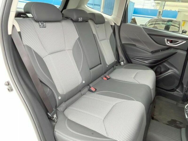 FORESTER-8