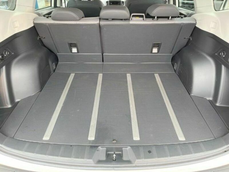 FORESTER-9
