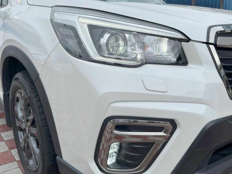 FORESTER-12