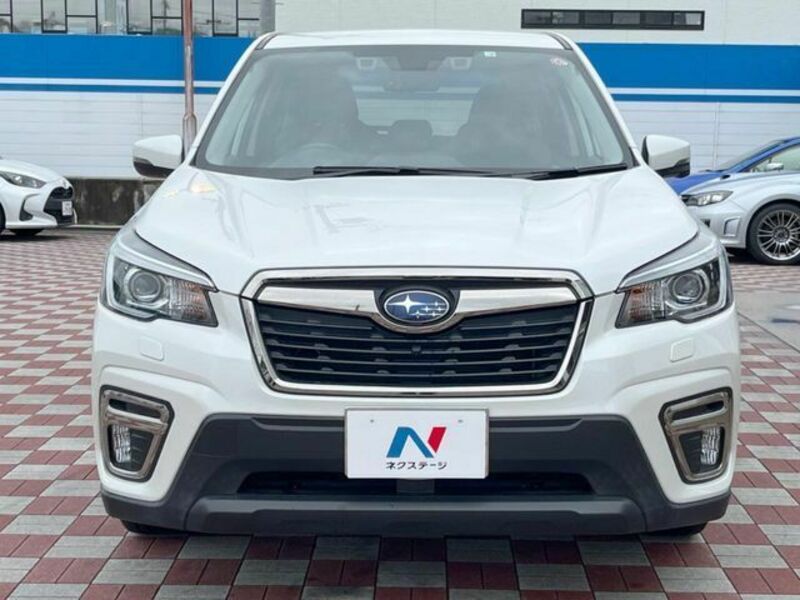 FORESTER-13