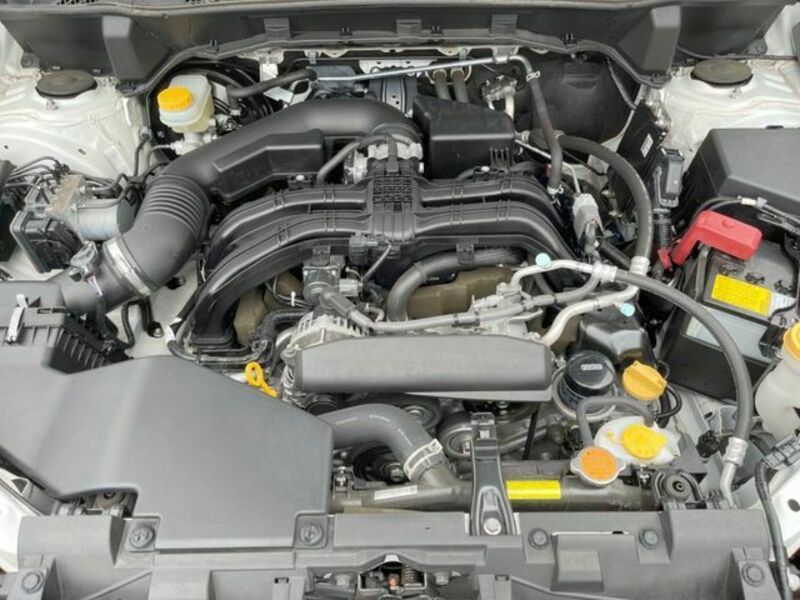 FORESTER-17