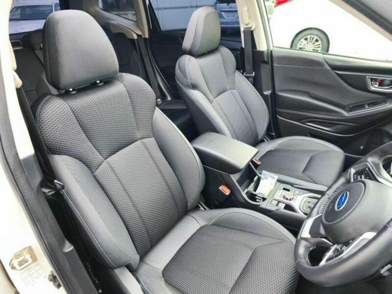 FORESTER-3