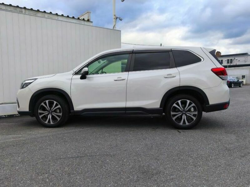 FORESTER-23