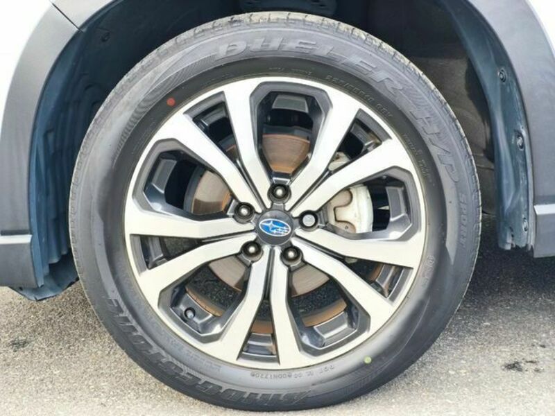 FORESTER-24